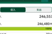 【悲報】ワイくん（30）のおちんぎん入金額クソワロタｗｗｗ（※画像あり）