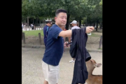 【動画】奈良の鹿公園の鹿を蹴ってる中国人マジゴミだなｗｗｗｗｗｗｗｗ