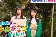 【日向坂46】『しずおかごはんが食べたい』まさかの冠番組に！！！