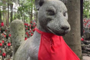【画像】きつねで有名な寺にきた