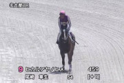 12月22日(水)、ヒカルアヤノヒメ(牝17)が、通算300戦目に挑む。勝利なるか？