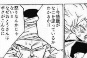 悟空「いいぞセル！もっと悟飯を怒らせるんだ！」ピッコロ「…」