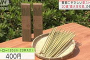 【動画有】紙ストロー、不評すぎて草ストローが出現するｗｗｗｗｗｗｗｗｗｗｗｗｗｗ