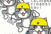 【にじさんじ】(あとの二人が見るだろうから適当で)ヨシ！