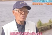 【速報】米農家キレる「何で農地を休ませて、米国から買わなきゃいけないの？」「生産力を回復が先決だ」「日本人の主食が米国に右往左往されるんだよ。ダメになっちゃうよ」