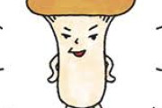 (* ´ん`)「トイレにエリンギみたいなの生えてるからおつまみ食べ放題」