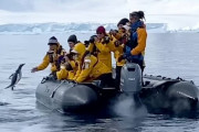 シャチから逃げるペンギン、観光ゴムボートに逃げ込み九死に一生を得る　南極