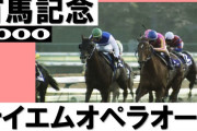 和田竜二騎手「15頭に勝てるわけないだろ……！？」