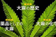 【終了】警察、ついに大麻ガチ勢を捕まえてしまい終了へ
