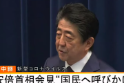 安倍総理大臣の緊急記者会見を要約せよ