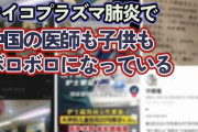 中国がクラスター大流行をひた隠す「謎の肺炎」がヤバイ…中国人観光客を直ちに制限せよ！ [11/29]