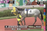 【悲報】馬名「シャイニーカラーズ」デビュー戦14着、数多のシャニPの馬券を紙くずにする