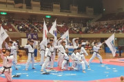 韓国のテコンドー演武団　横浜でデモンストレーション披露「日本の国民に対し深い印象を残すことができた」[12/23]