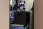 ［画像］おかんにバレないように押し入れにフィギュア飾ってるけど