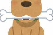 イッヌ「骨っこ食うンゴｗｗｗｗｗｗｗｗｗｗｗｗｗ」