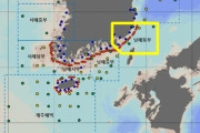 韓国政府、汚染水放出後初の調査 南東部海域は「安全な水準」8/28