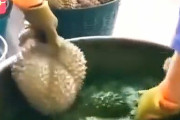 【動画】中国あるある、ドリアンを一瞬で新鮮でいい色にする方法～！