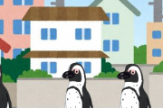 【新型コロナ】街から人の姿が消えた結果 → 野生ペンギンたちが元気に道路を歩き回る　南アフリカ（動画あり）