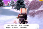 【ポケモン剣盾】雪原のWショップ「目玉商品」で「ウルトラボール」や「金の王冠」が販売！
