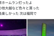 【悲報】菅原咲月オタクさんライブ中に写真を撮ってしまう