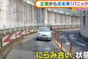【悲報】逆走車、怖すぎる
