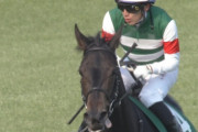 【競馬・中山牝馬S】コントラチェック最下位ｗｗｗｗｗｗｗｗ