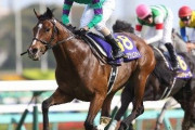 新種牡馬ディーマジェスティ産駒が門別で初勝利