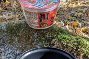 【画像】今から森でラーメン食う