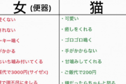 【悲報】弱者男性「女は金のかかる便器！飼うなら猫の方がいい！」→1000万表示の大炎上