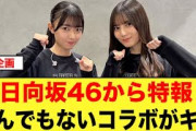【特報】日向坂46️〇〇のとんでもないコラボがキタ【日向坂46】