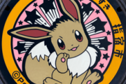 指宿市「ポケモンのマンホールを置きたい！」ポケモン「いいよ」