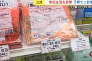 【悲報】北海道、市のゴミ袋10枚入りで900円！来年には1350円に値上げ