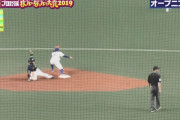 【珍プレー好プレー大賞2019】オープニングで審判のよそ見が晒される
