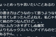 【元AKB48】野村奈央「私の妹は誰よりもルックスいいし、アイドルのセンスある。選抜の基準をちゃんとしろ」