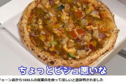 ヒカル、宅配ピザ「ナポリの窯」取締役に就任　「マジで役に立つと思う」「革命起こすから」