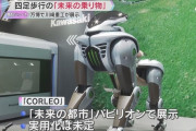 【悲報】大阪万博の日本のロボ、なんかキモいｗｗｗｗｗｗｗ【画像】