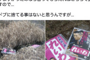 【悲報】1日1食で重度障害の子をかかえる貧困シンママさん、材料費自腹で立た「れいわ新選組」の看板をドブに流される