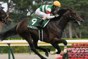 バゴ（父ナシュワン母父ヌレイエフ）←こいつが日本競馬にフィットしまくる謎