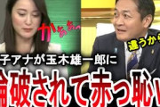 【玉木雄一郎の言葉攻め】小川彩佳アナが１０３万の壁の撤廃の財源を問うも国民民主党の玉木雄一郎に論破される【手軽に国会中継】