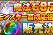 【パズドラ】虹メダル5+おまけ付いてお値段据え置き！育成応援セットは買い得か？