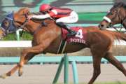 【日経賞】ウインマリリンが内から抜け出しV！重賞2勝目