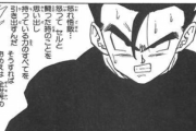 【ドラゴンボール】「孫悟飯」→4歳でおじさん破壊、5歳でベジータ破壊、フリーザ善戦、10歳でセル破壊ｗｗｗ