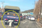 犬2匹を引きずったまま走るトラック…警察が捜査に着手＝韓国の反応