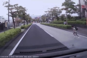 【画像】クソガキ、道路に飛び出し轢かれるwwwwww