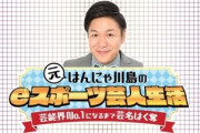 【悲報】はんにゃ川島さんのゲーム配信、酷すぎて韓国人にめちゃくちゃ言われてしまうｗｗｗ
