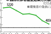 【国内】「老齢化」する森林、温室ガス吸収量６年で２割も減少…背景に林業の衰退