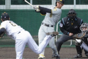 阪神・佐藤輝明「しっかり打てて良かった」　豪快に右翼へライナー弾