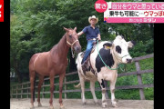 【驚愕】自分を完全に馬だと思い込んでいる牛くんが見つかる！！