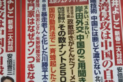 【日本移住】本当だった「日本は簡単に永住資格を取れる」　中国出身の香港住民があっさり取得したその方法