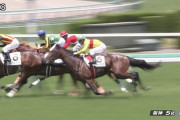 お前らが最強馬の条件を1つ挙げて10レスくらいで当てはまる馬が最強馬なんじゃね？